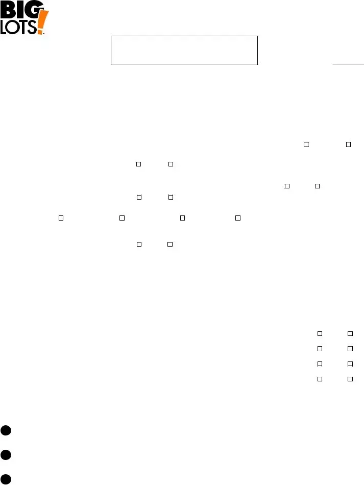 Blank Lots Job Application Form Fill Out and Print PDFs