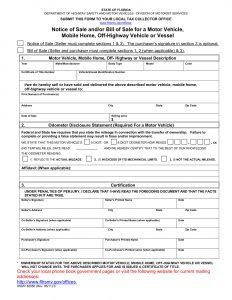 Free Florida Vehicle Bill of Sale Template