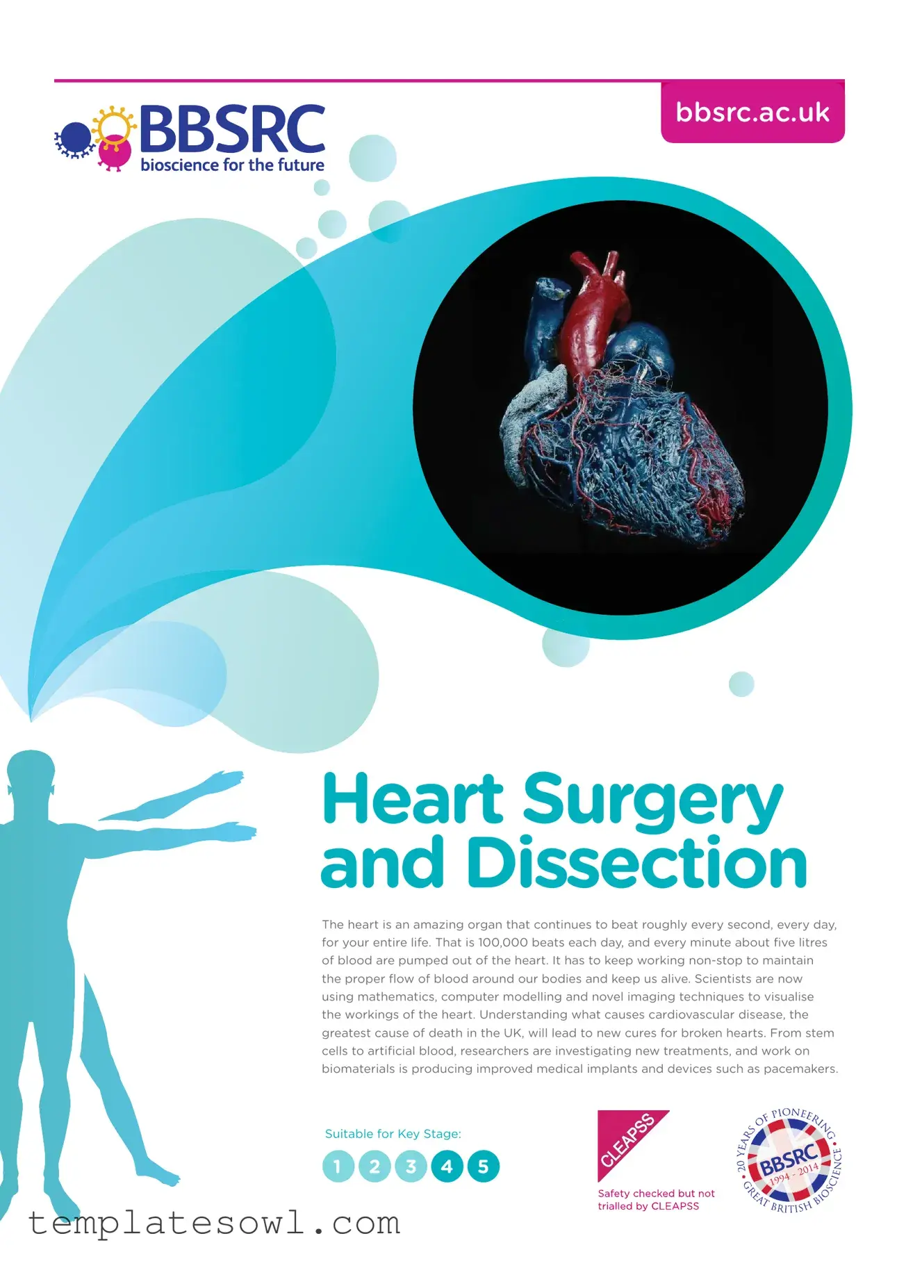 Fill Out Your Anatomy Lab Heart Dissection Form