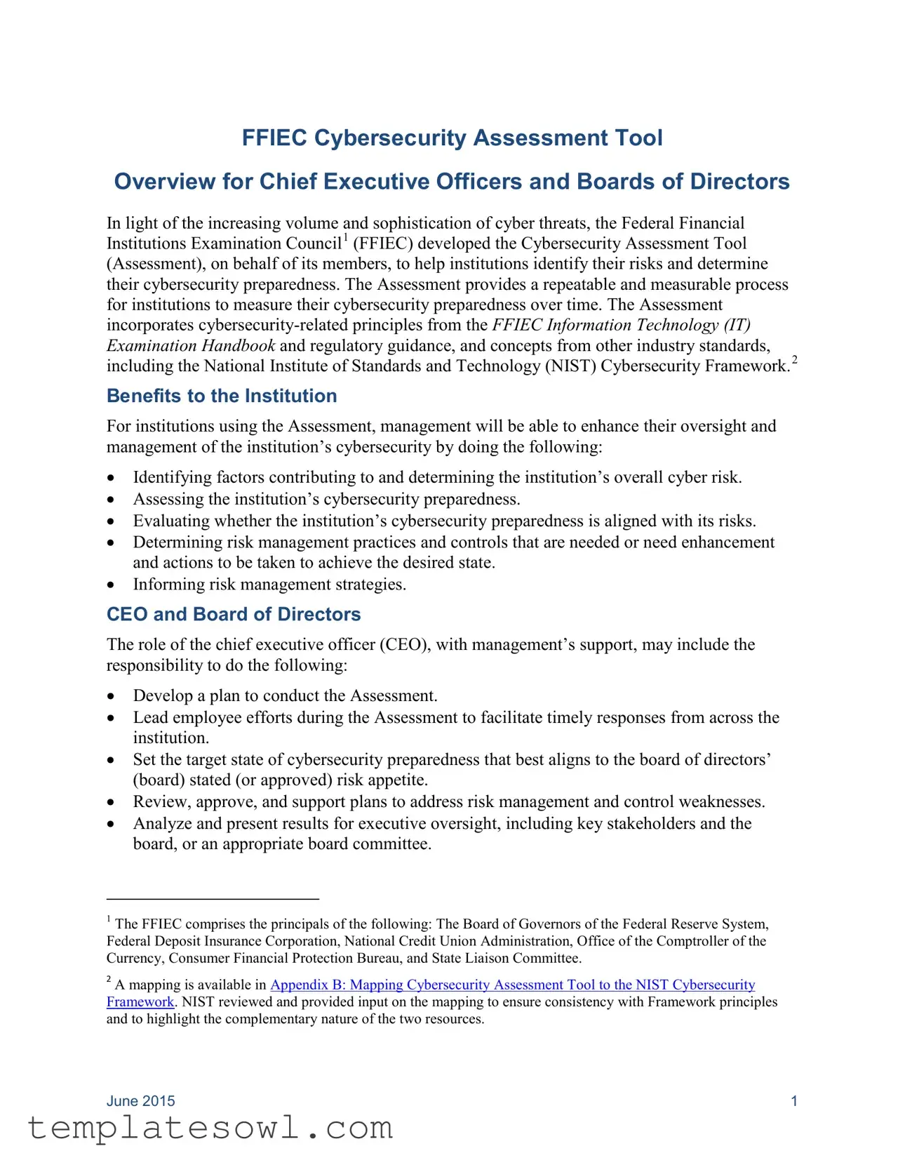 Fill Out Your Assessment Chief Form