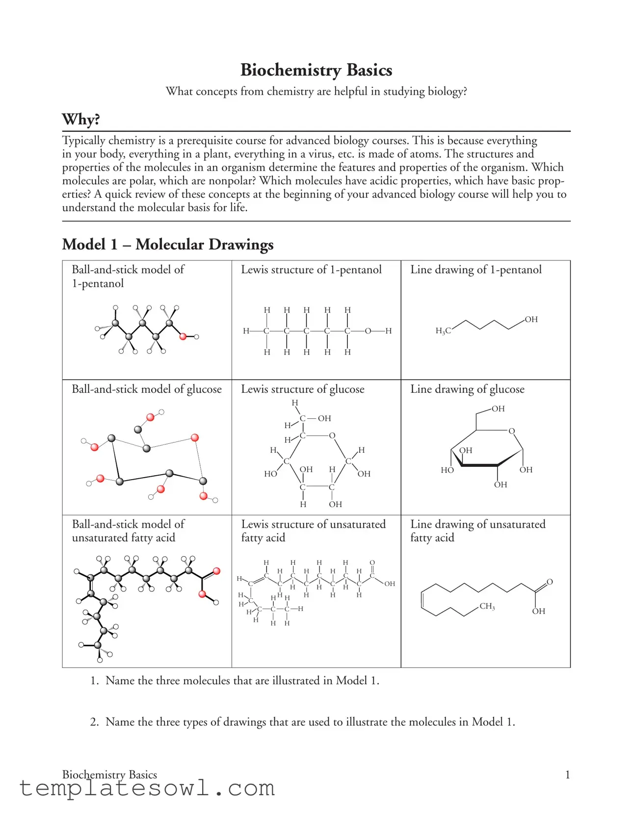 Fill Out Your Biochemistry Basics Form