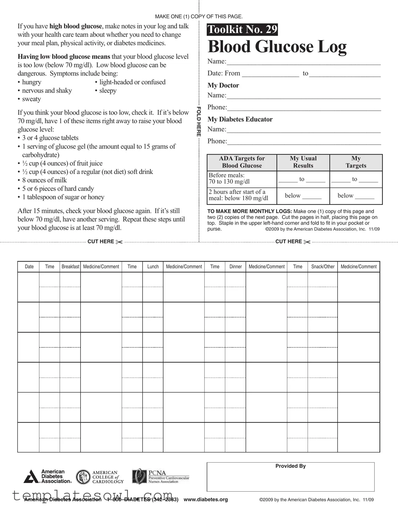 Fill Out Your Blood Glucose Log Form