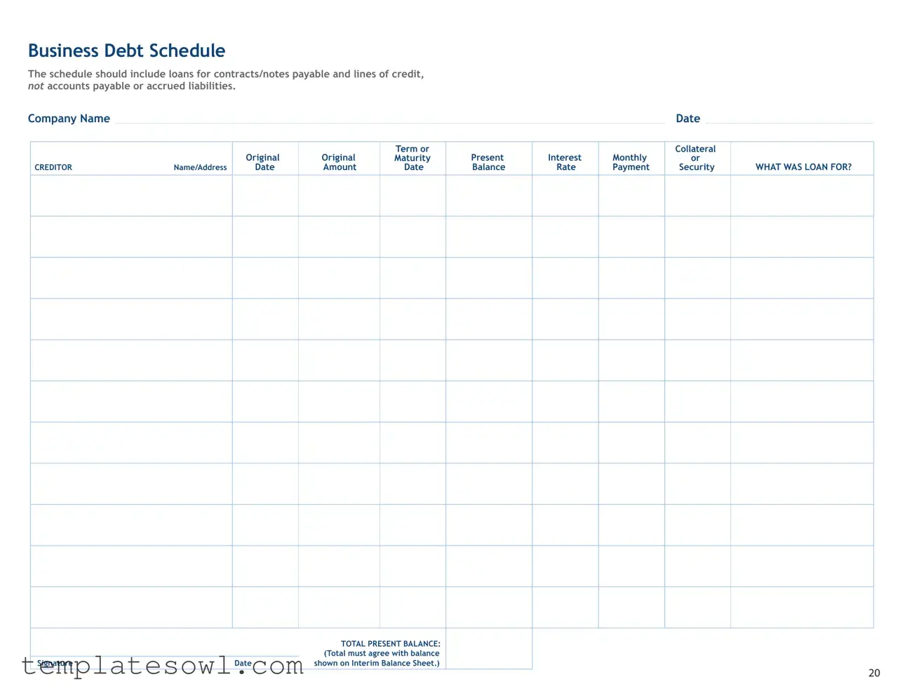 Fill Out Your Business Debt Schedule Form