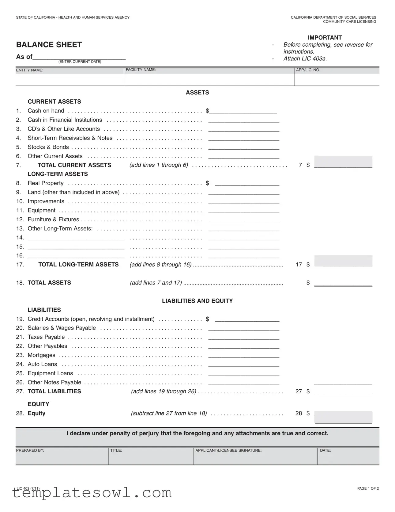 Fill Out Your California Balance Sheet Form