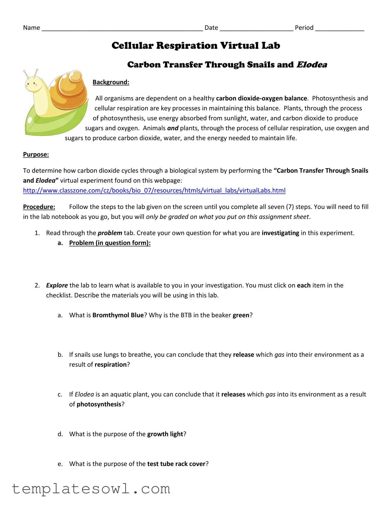 Fill Out Your Cellular Respiration Virtual Lab Form
