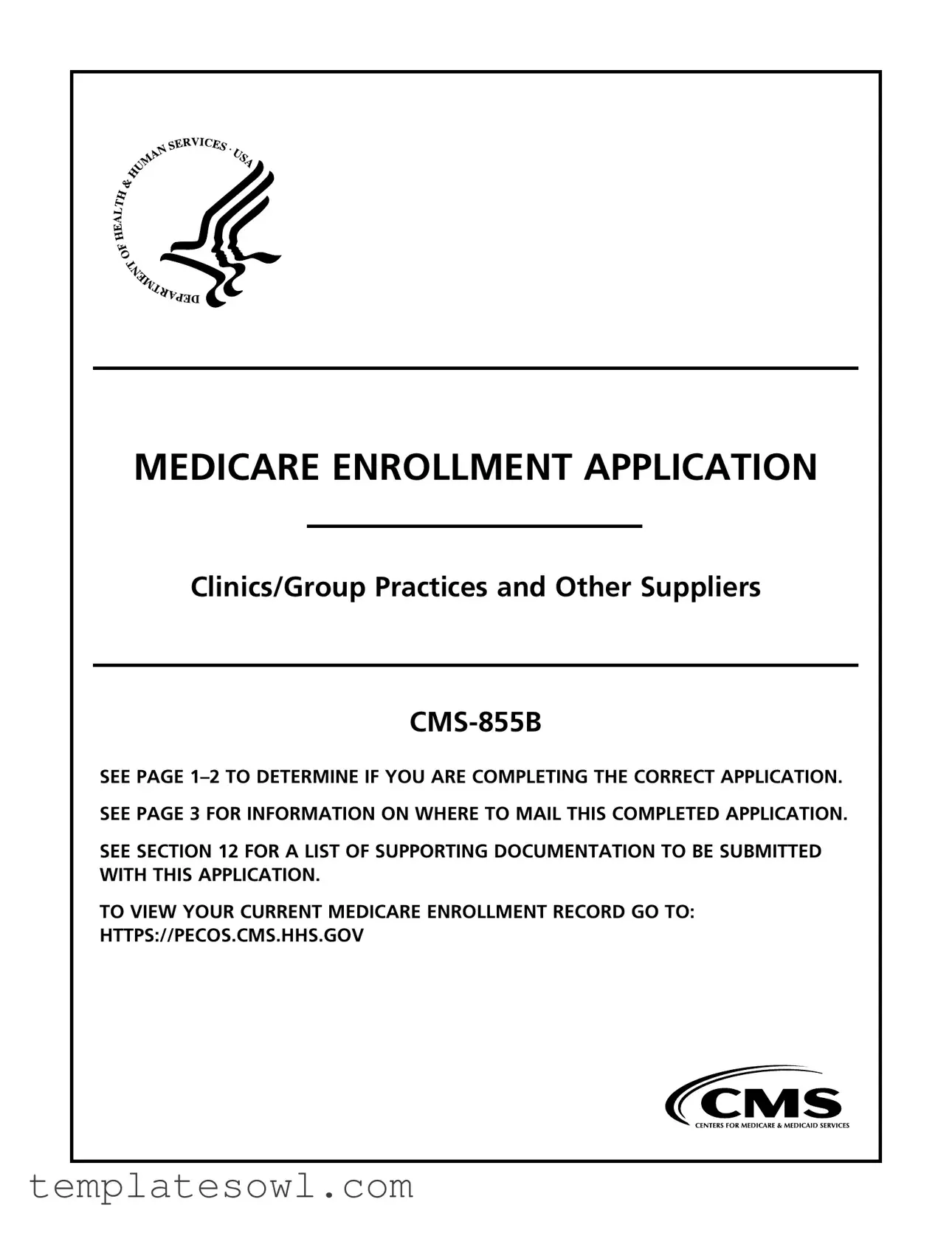 Fill Out Your Cms 855B Form