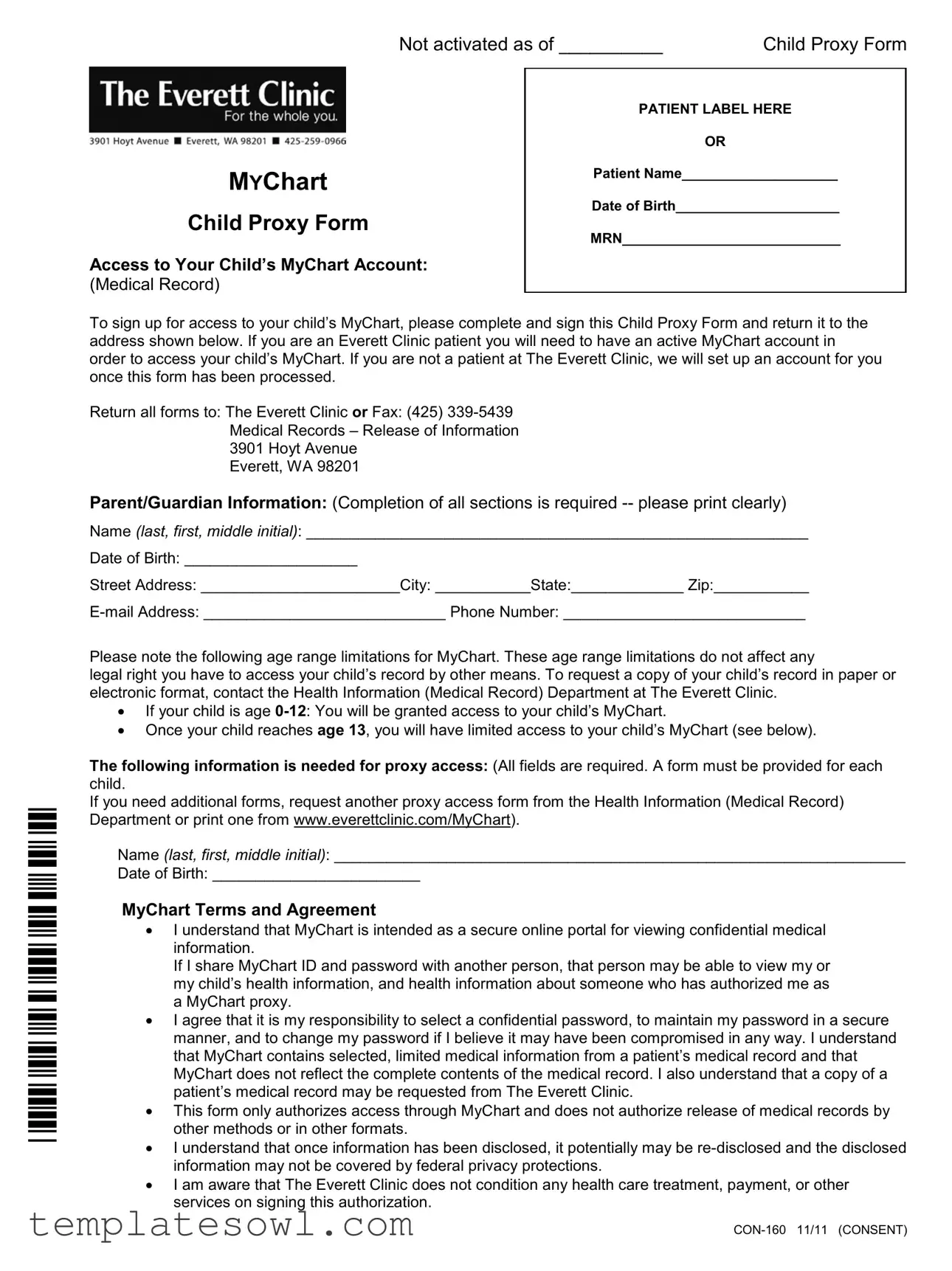 Fill Out Your Con 160 Form