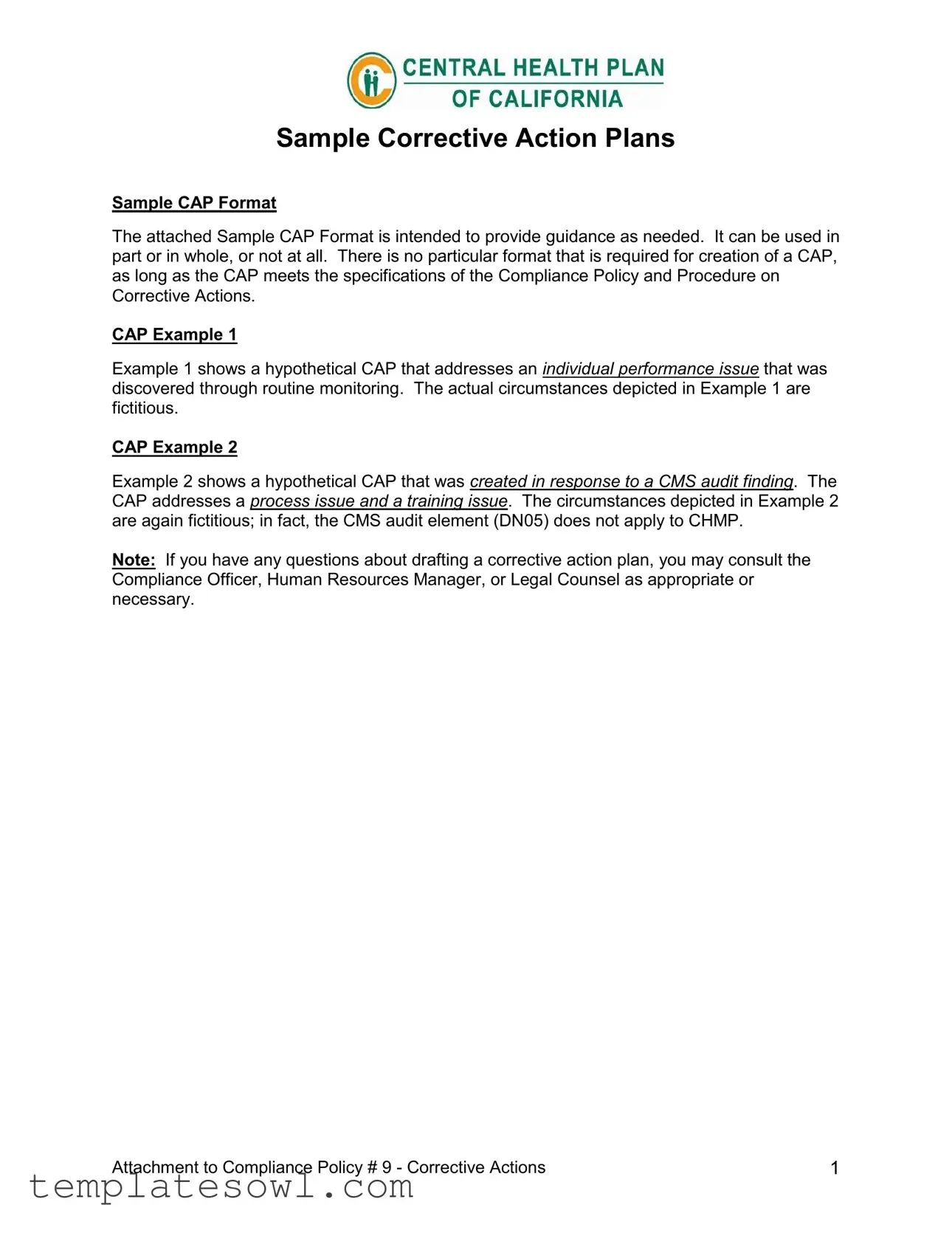 Fill Out Your Corrective Action Plan Form