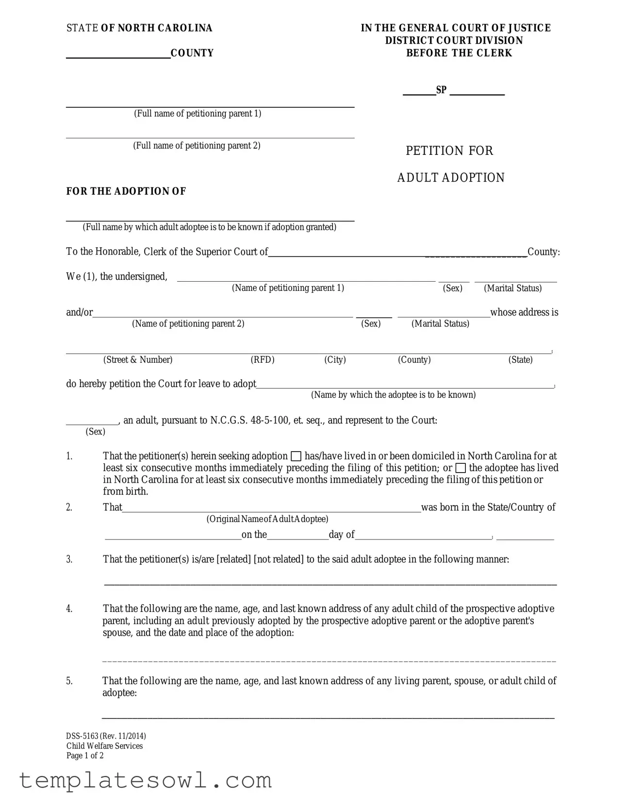 Fill Out Your Dss 5163 Form
