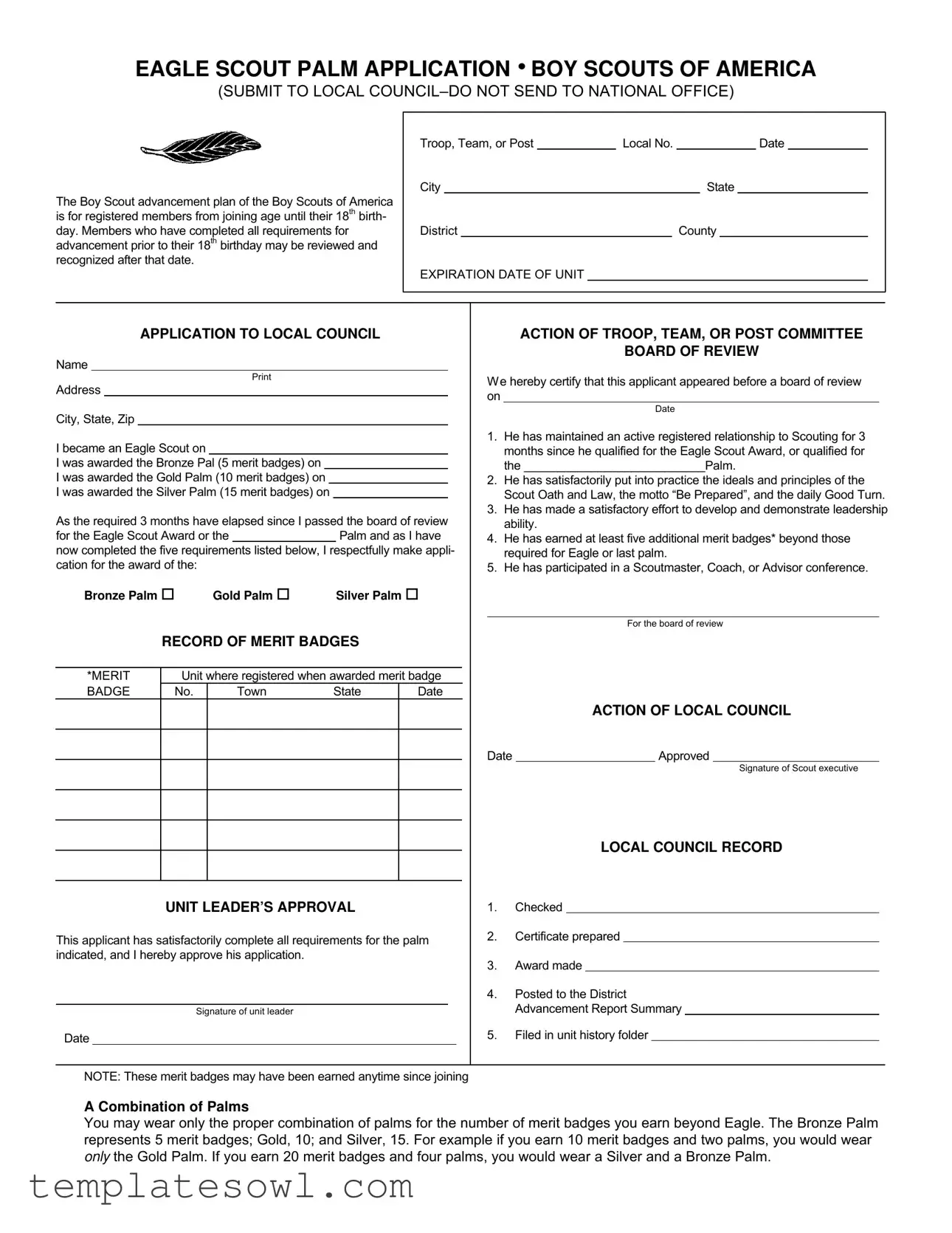Fill Out Your Eagle Scout Palm Application Form
