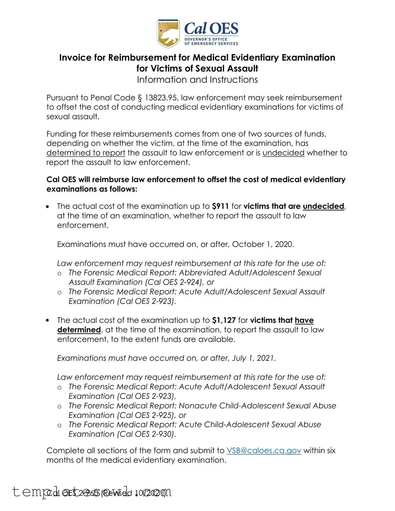 Fill Out Your Examination Invoice Form