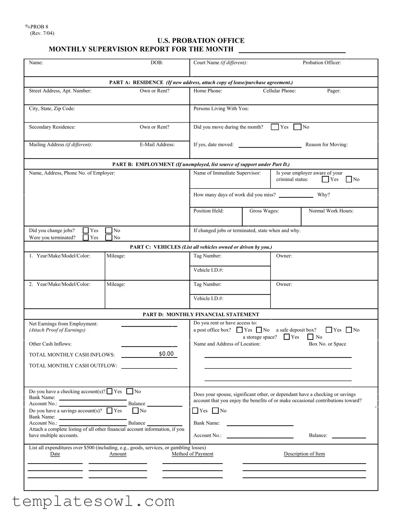 Fill Out Your Federal Probation Report Form