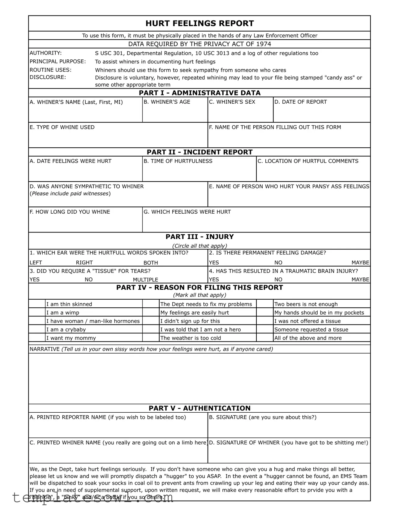 Fill Out Your Hurt Feelings Report Form