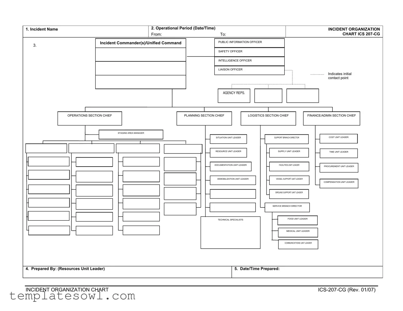 Fill Out Your Ics 207 Cg Form