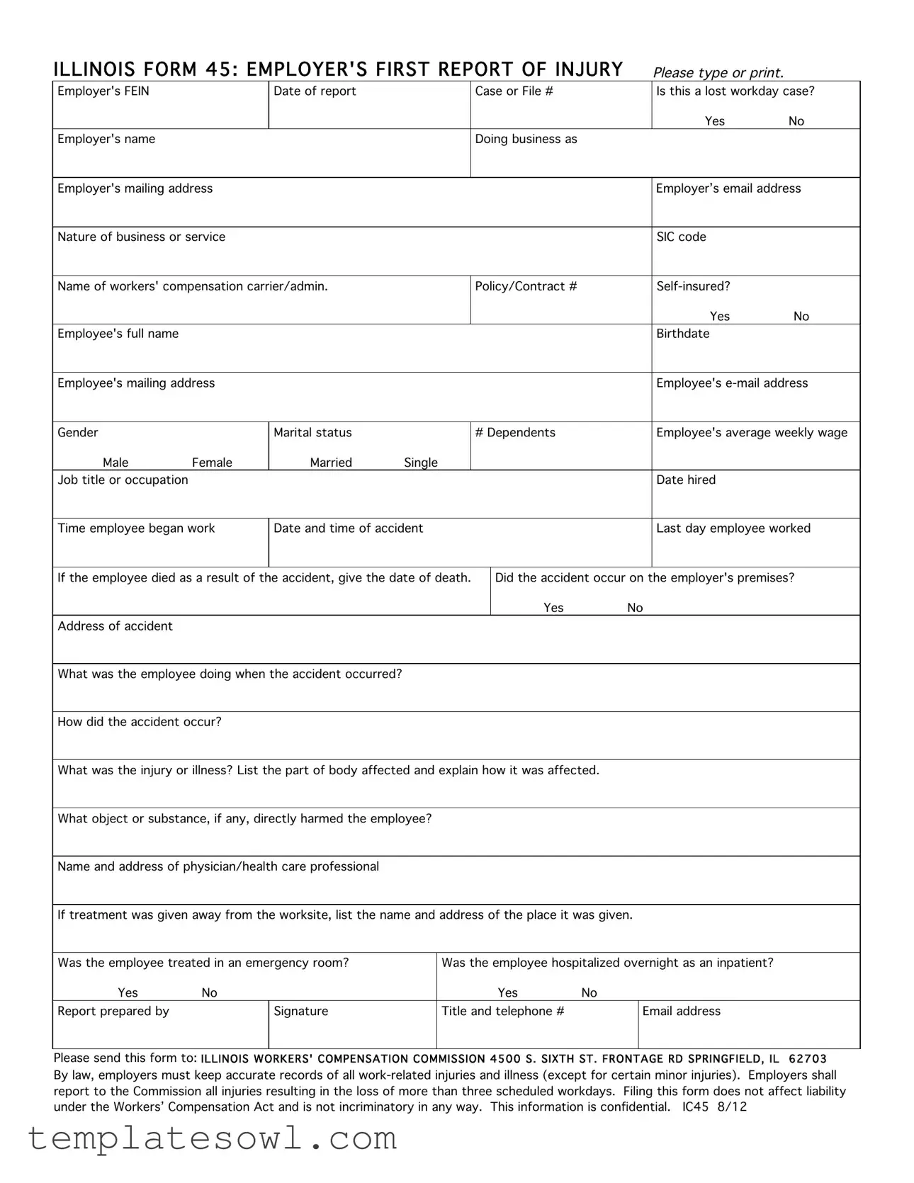 Fill Out Your Illinois First Report 45 Form