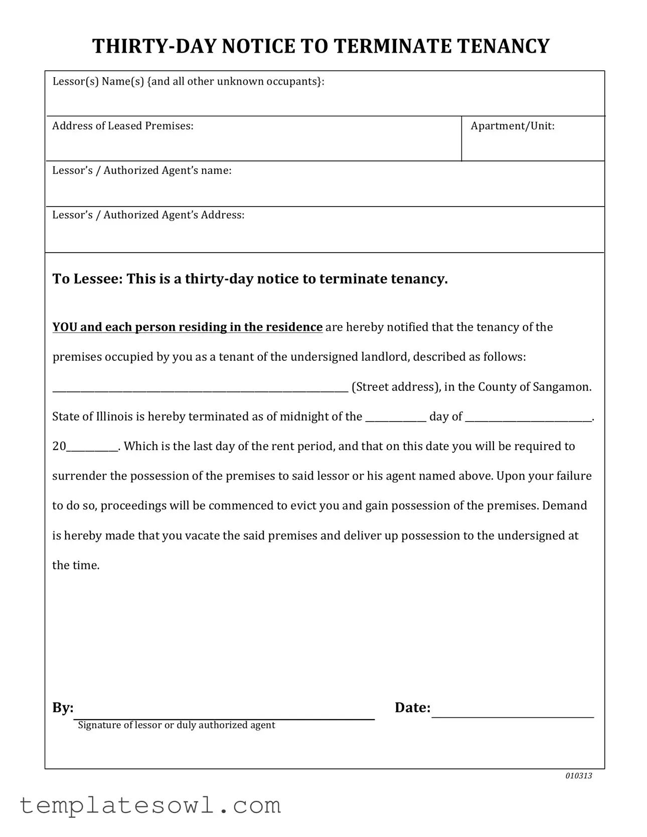 Fill Out Your Illinois Vacate Form