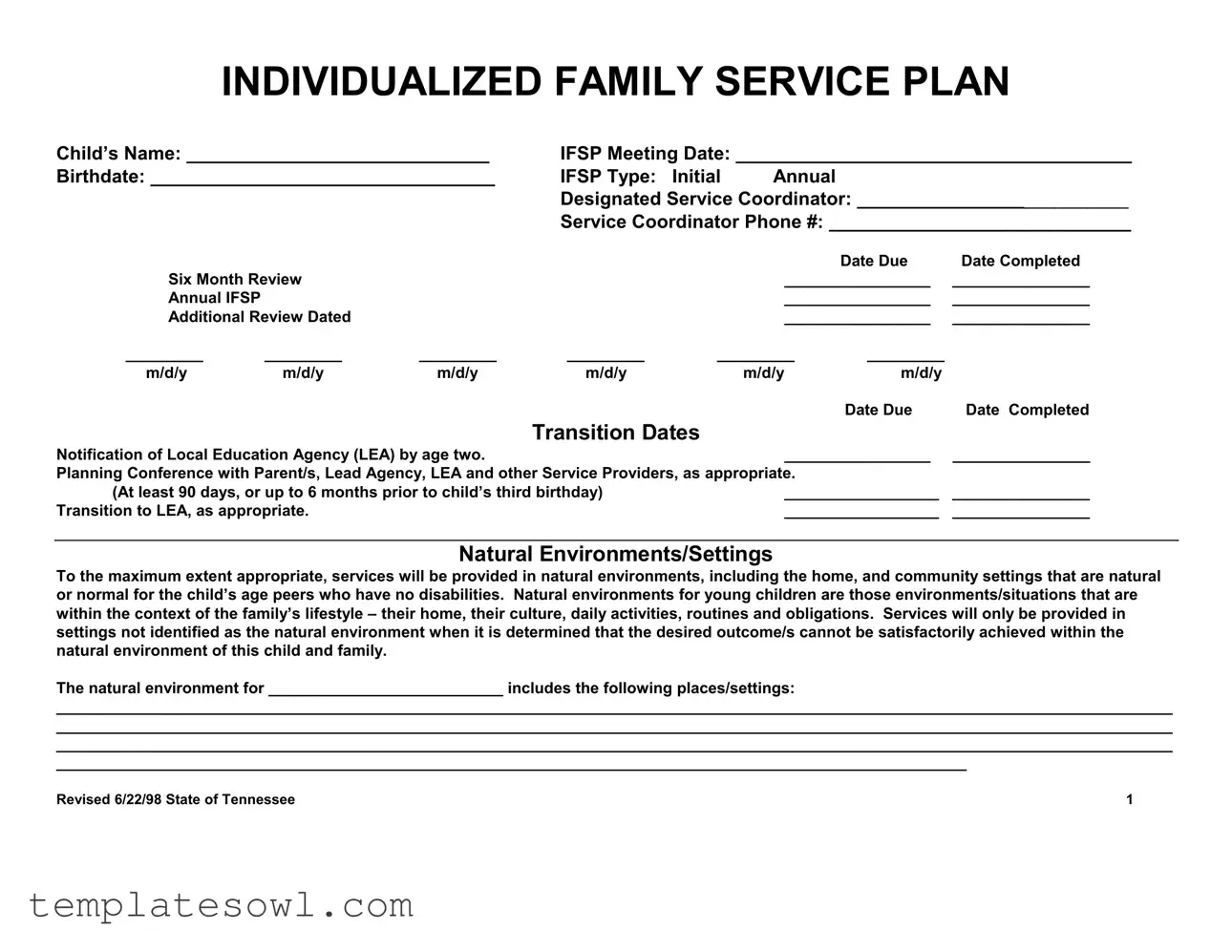 Fill Out Your Individual Service Plan Sample Form