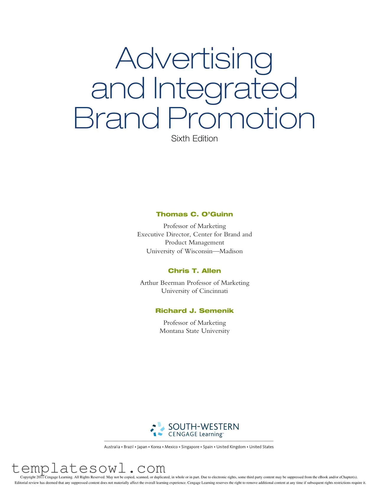 Fill Out Your Integrated Brand Promotion Form