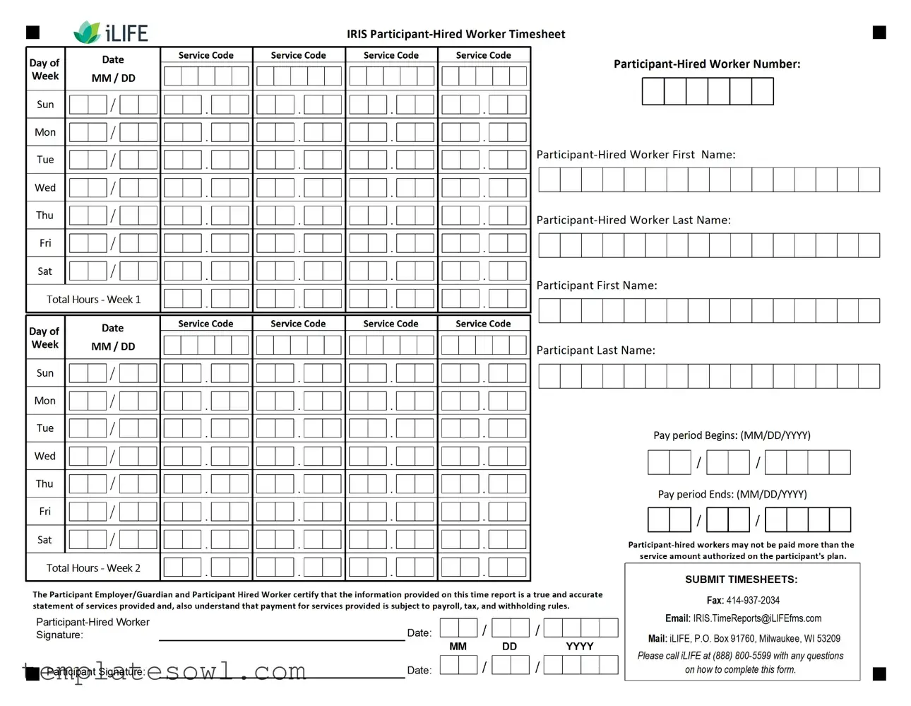 Fill Out Your Iris Worker Timesheet Form