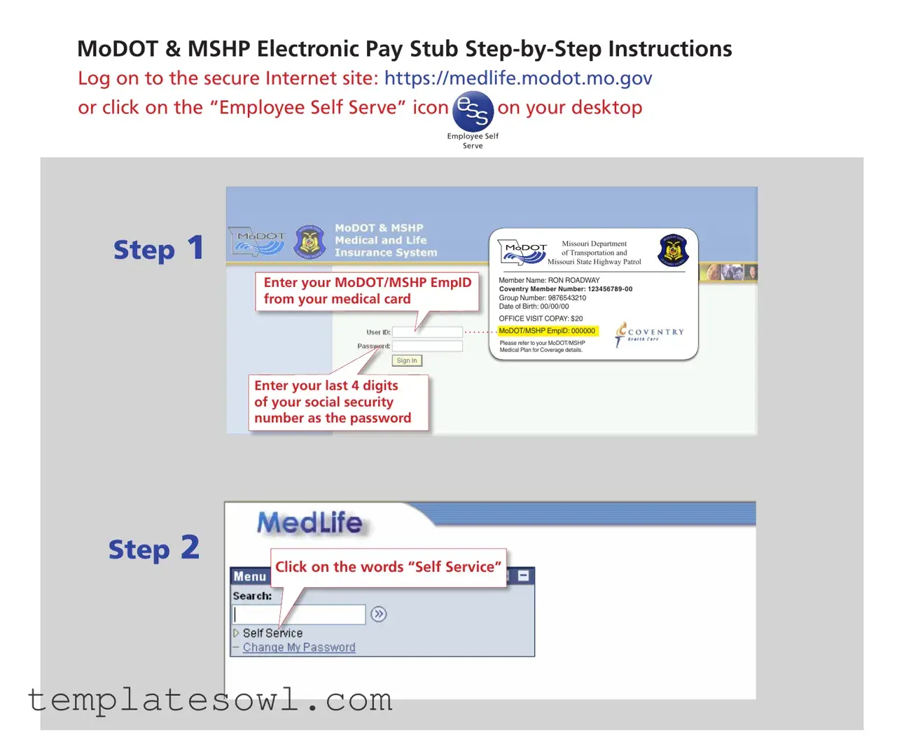 Fill Out Your Medlife Modot Mo Gov Form
