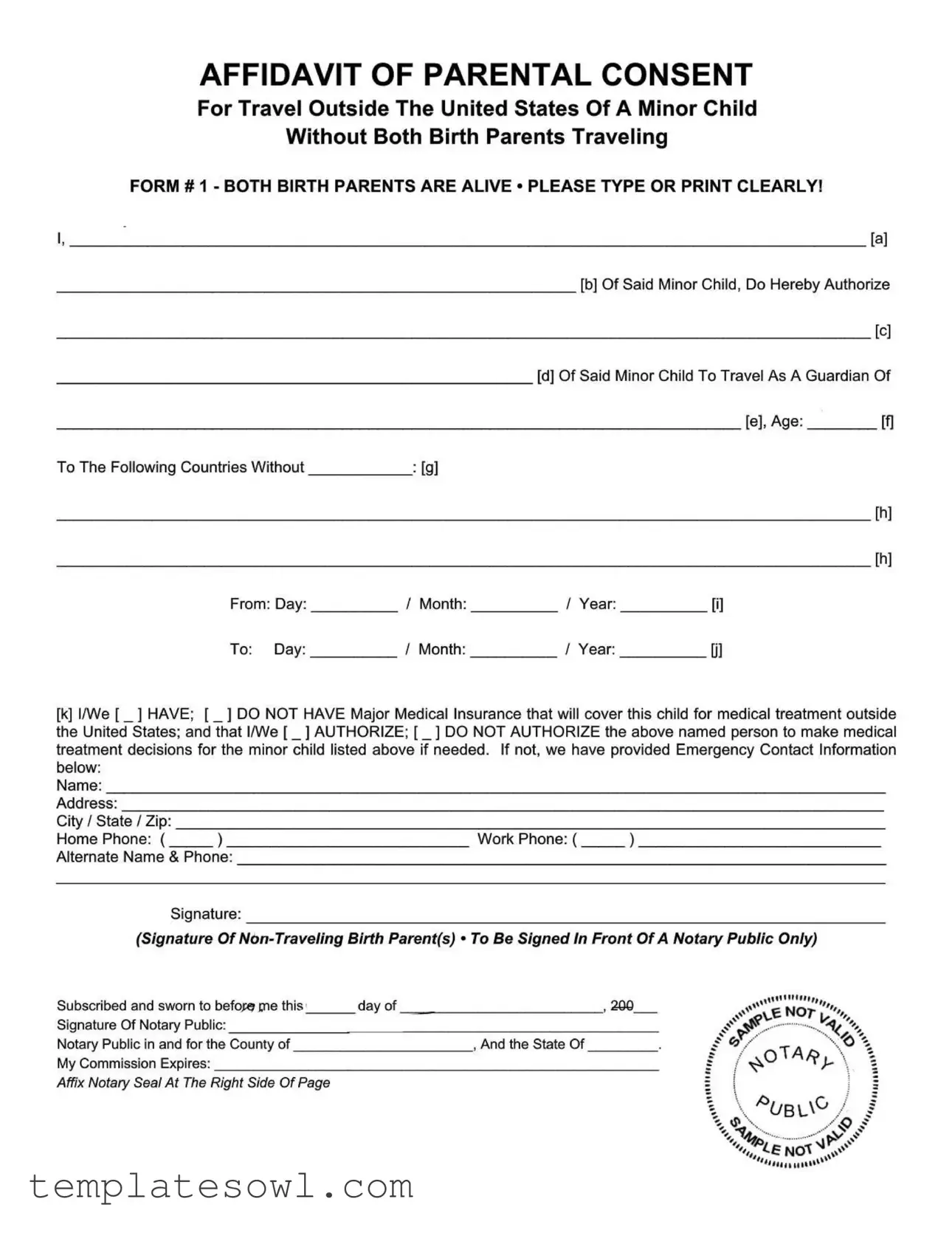 Fill Out Your Minor Child Sample Form