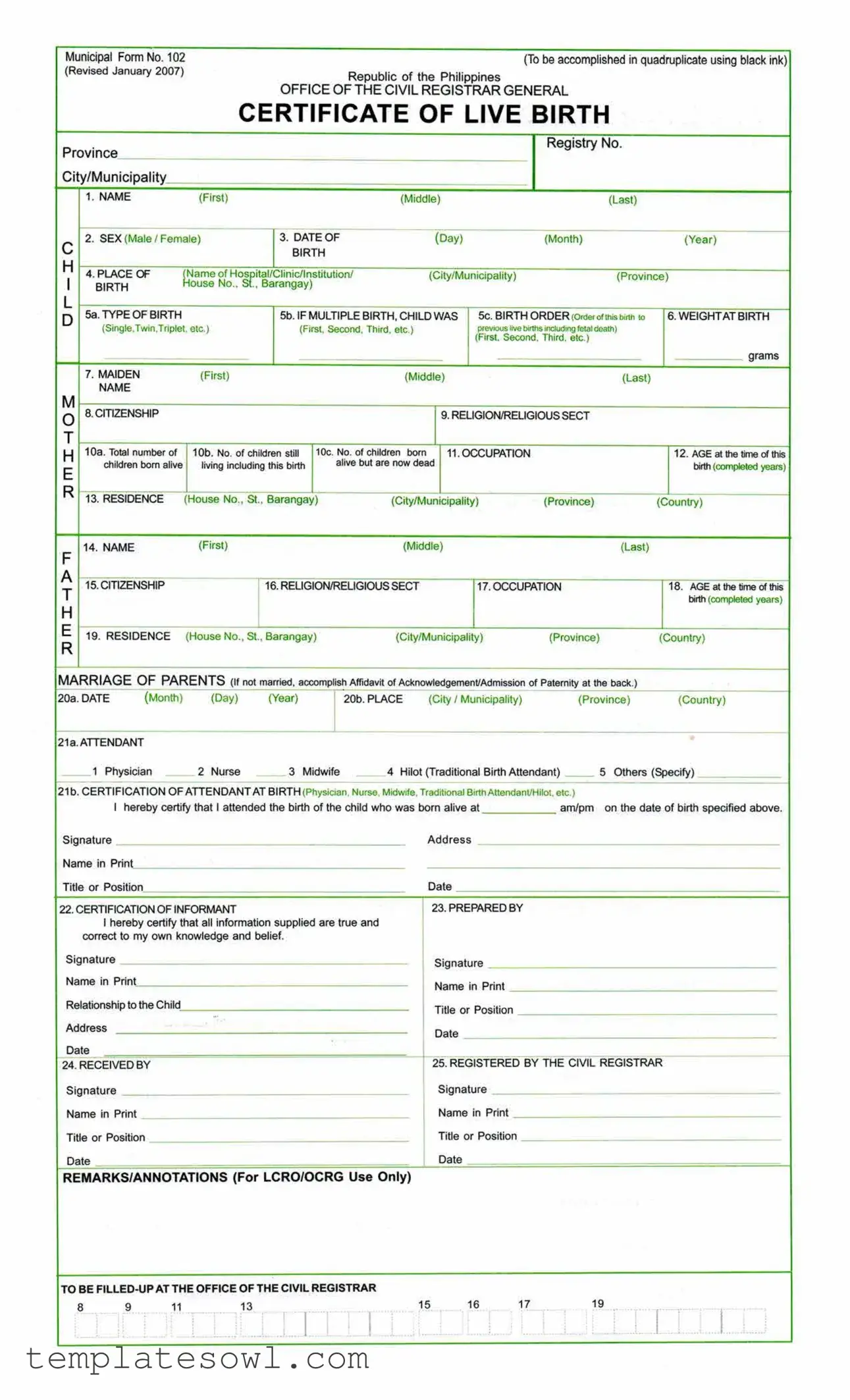 Fill Out Your Municipal 102 Form