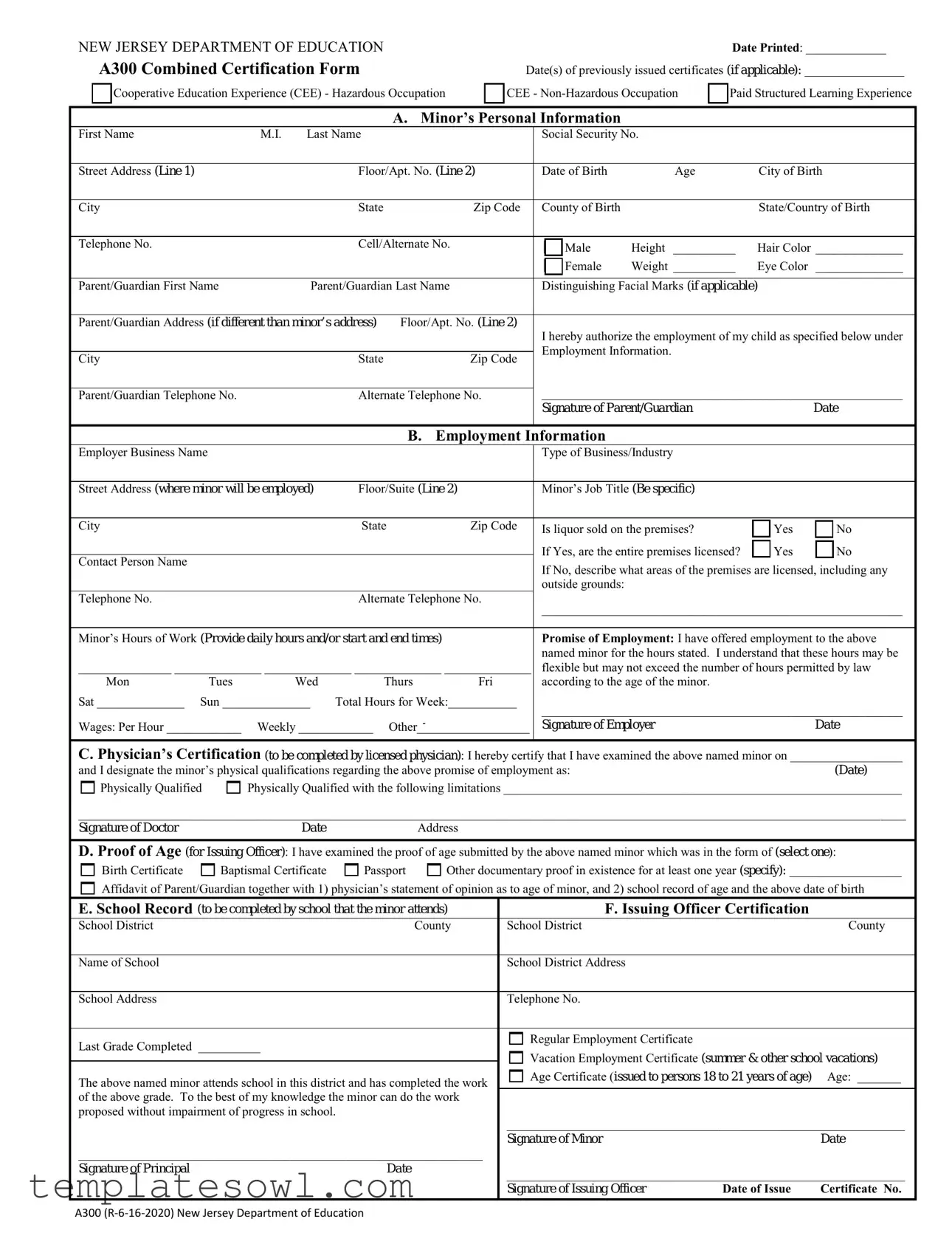 Fill Out Your Nj A300 Form