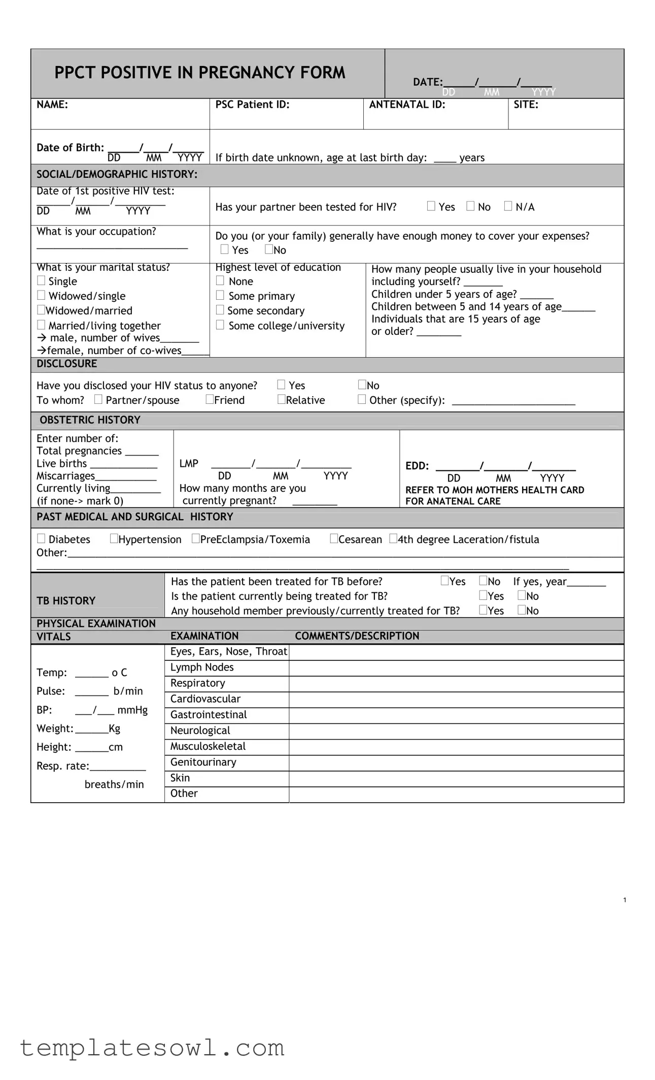 Fill Out Your Pregnancy Sample Paper Work Form