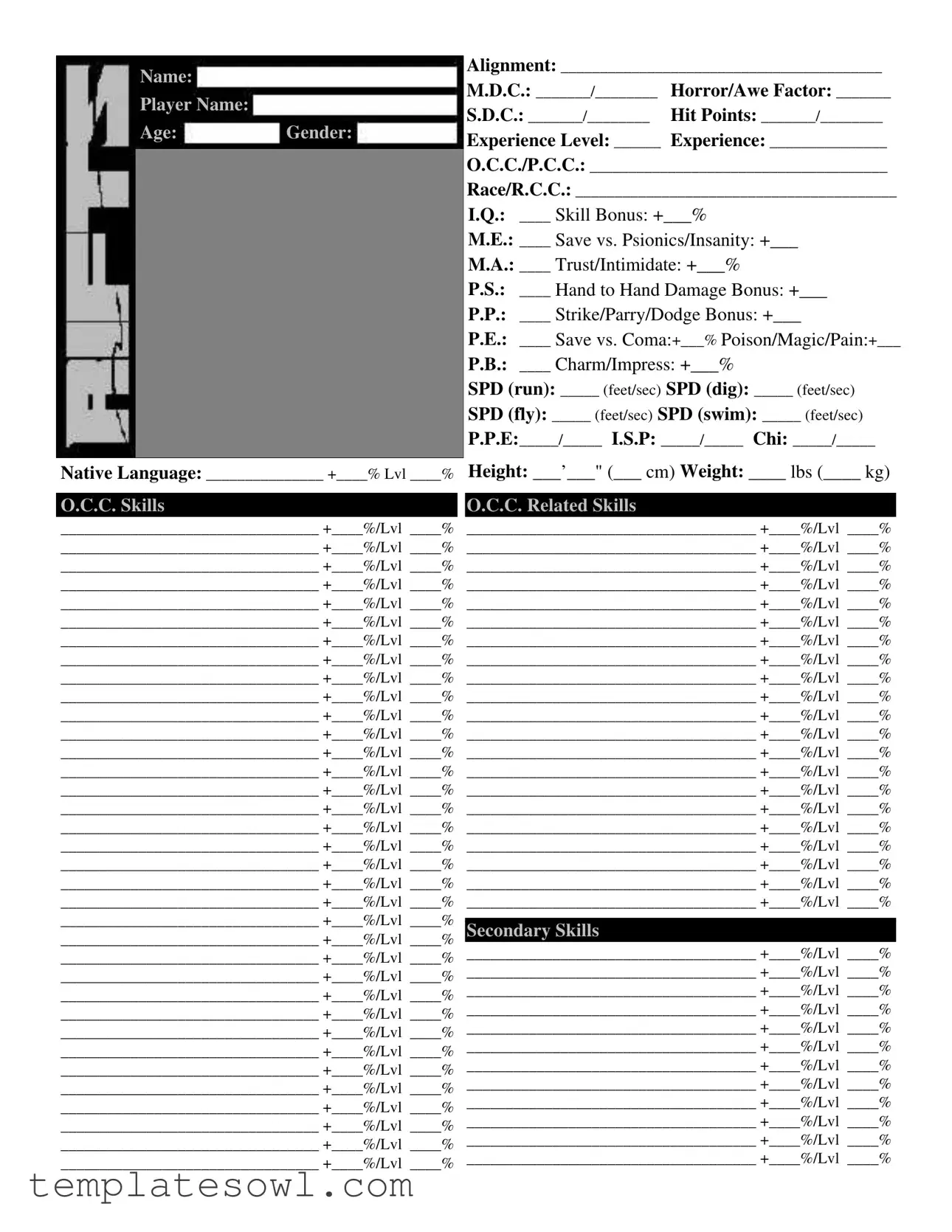 Fill Out Your Rifts Sheet Form
