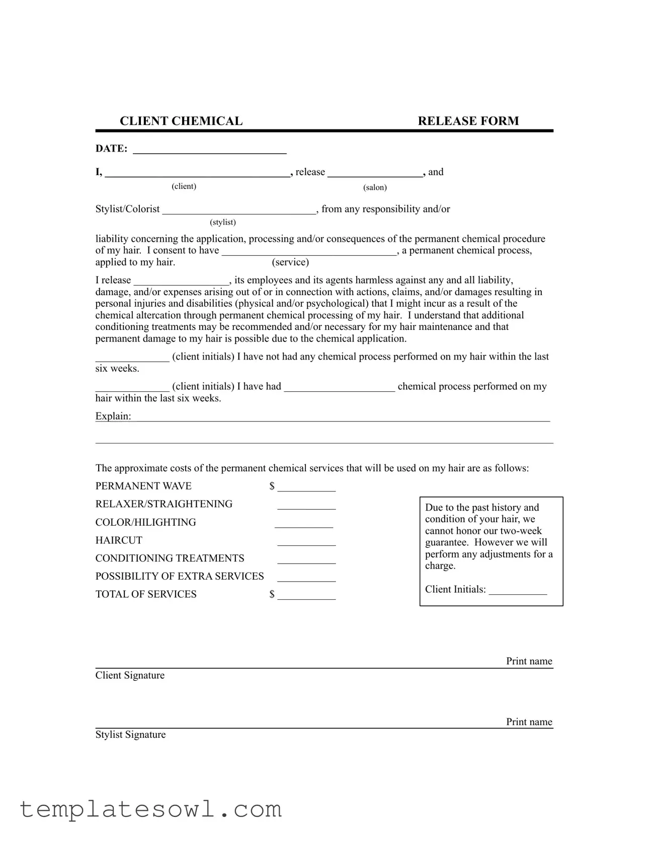 Fill Out Your Salon Chemical Waiver Form