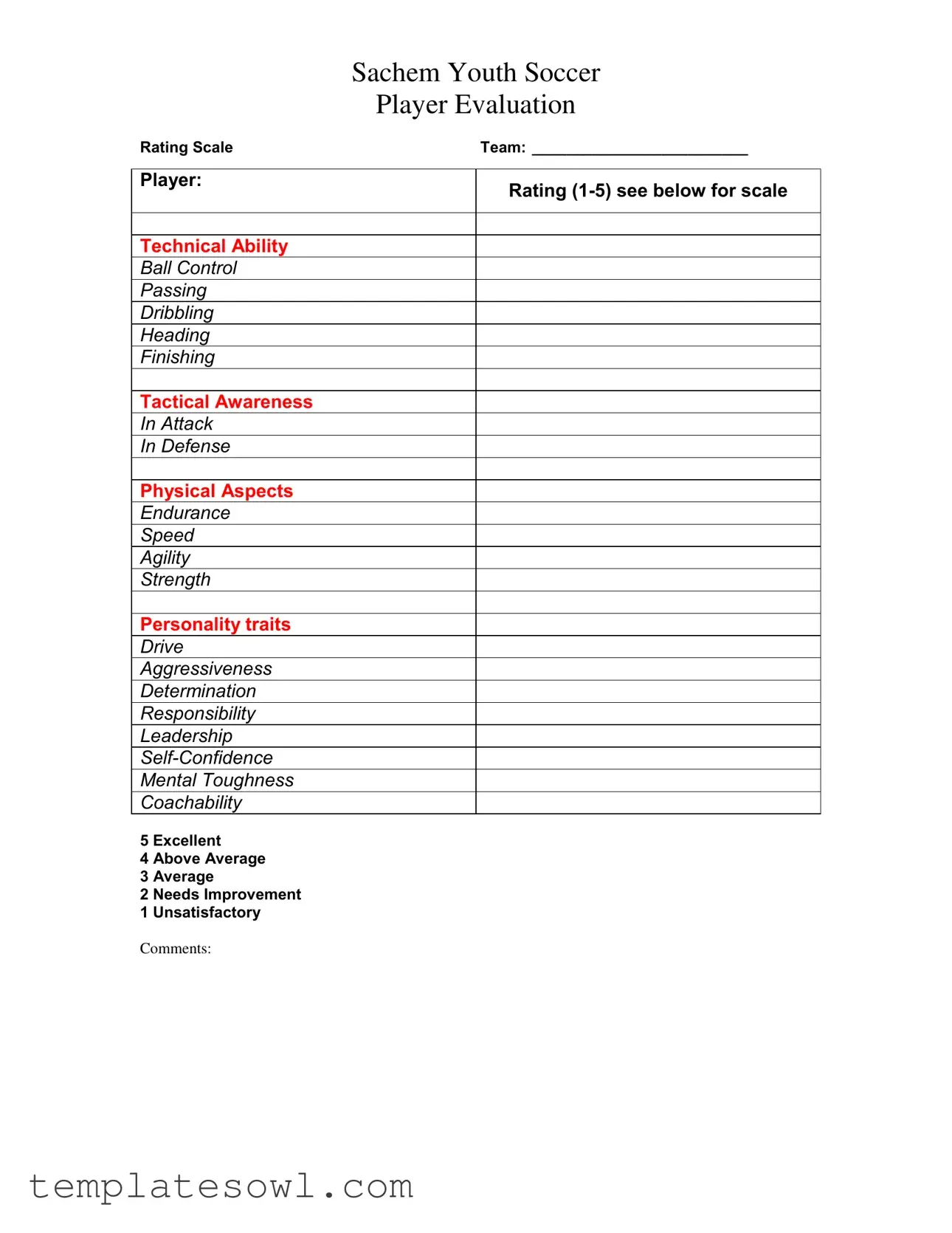 Fill Out Your Soccer Player Evaluation Form
