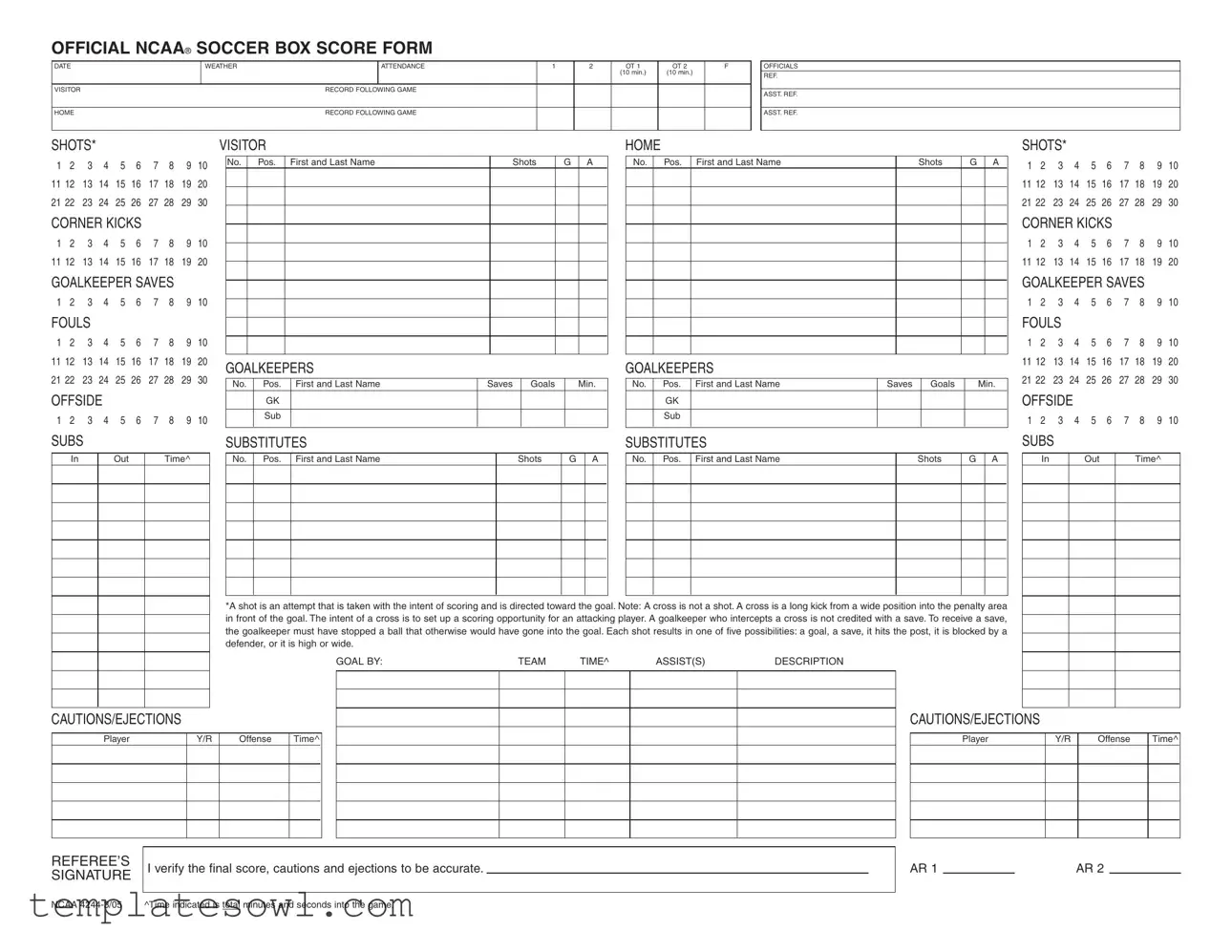 Fill Out Your Soccer Stats Sheet Form