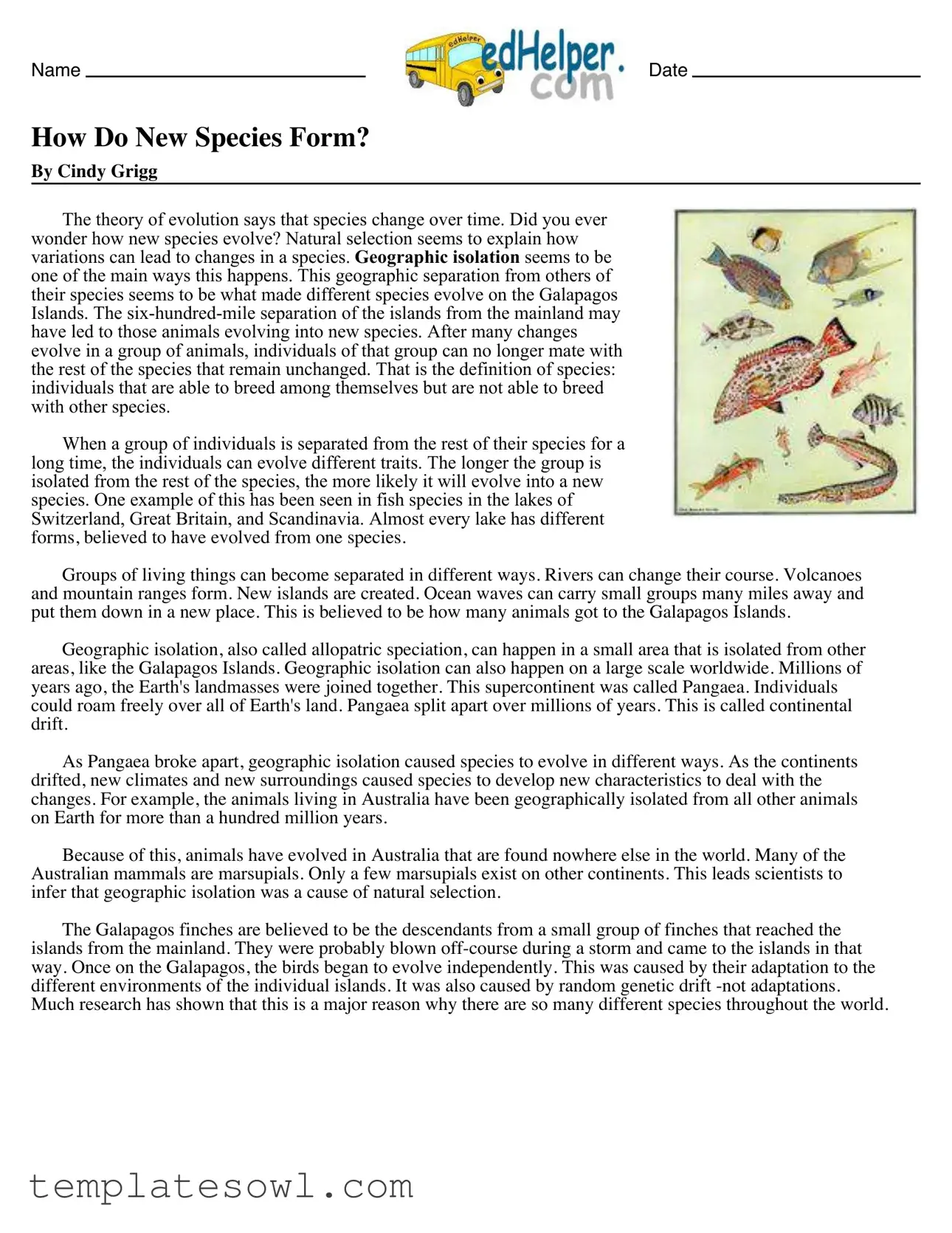 Fill Out Your Species Worksheet Form