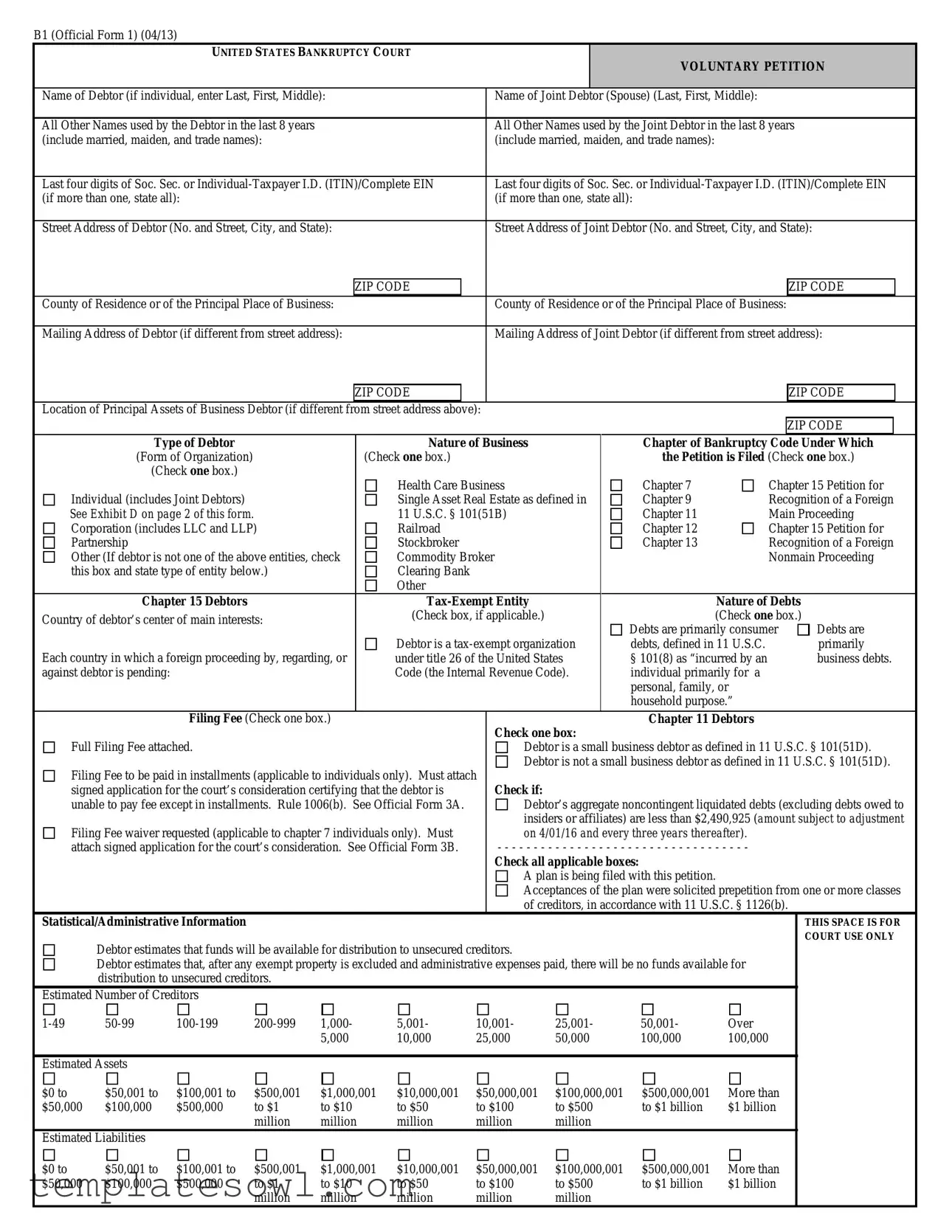 Fill Out Your Voluntary Petition Form