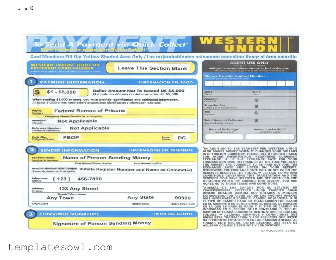 Fill Out Your Western Union America Form